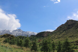 山间美景 蓝天白云绿树