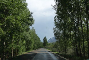 林间公路 绿意盎然的风景