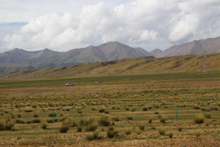 广袤草原与远处山峦景观