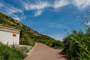 山间小径旁的清新景致