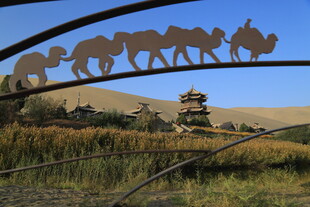 草原驼队剪影景观