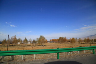 秋日公路边的开阔风景