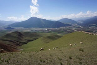 草原山峦间的牧羊景致