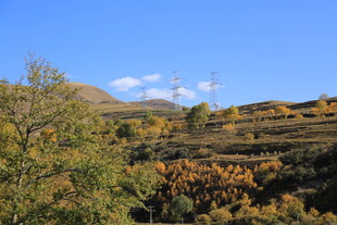 秋日山间多彩景致