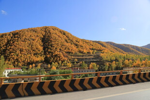 秋日公路旁的斑斓山色