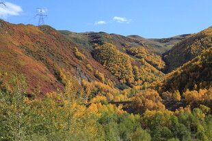 秋日山谷斑斓美景