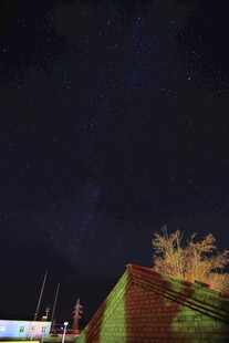 夜空下的建筑与树木