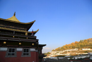 古建楼阁映蓝天