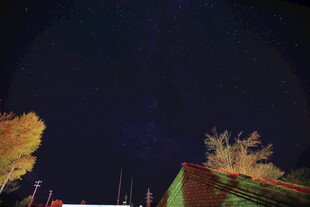 夜空下的建筑与树木景观