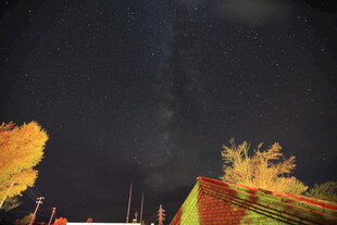 秋夜星空下的多彩树木