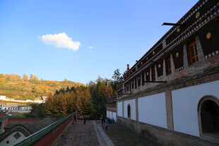 藏式建筑旁的美好景致