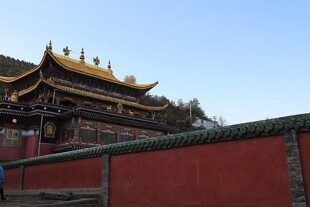 红墙金顶的中式古建筑