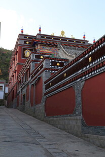 藏式红墙建筑街道景观