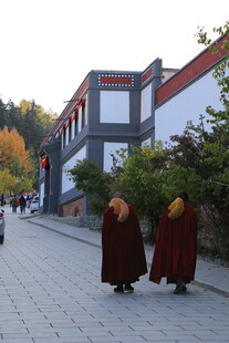 僧人漫步古街道