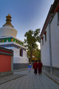 藏区寺院僧人漫步小道