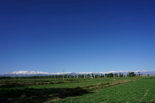广阔田野与蓝天美景