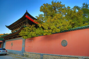 中式红墙古建筑景致