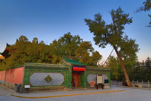 中式古建筑旁的绿树景观