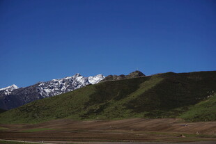 雪山下的翠绿山坡