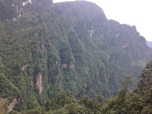 翠绿山峦景色壮丽