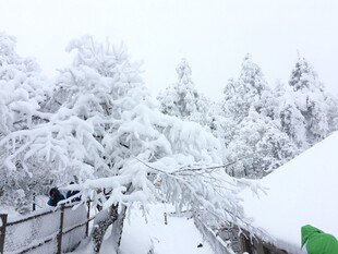 雪覆山林美景