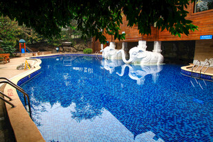 豪华户外泳池景观