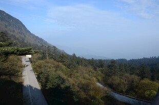 山间蜿蜒公路风景