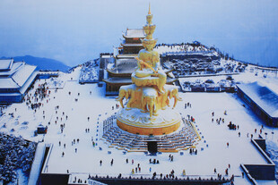 雪中宏伟金色佛像景观