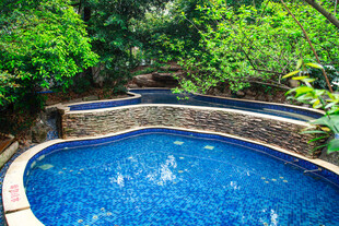 户外绿植环绕的蓝色泳池