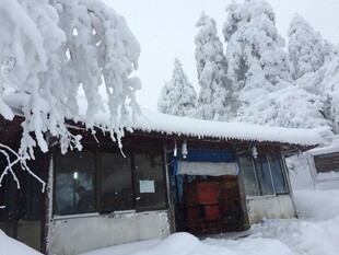 雪覆小屋 冰凌垂挂美景