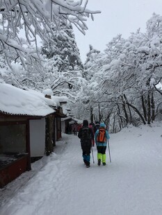 雪中小径上的温馨家庭行