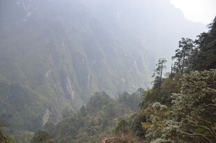 山间葱郁景致