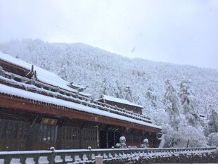 雪覆古建 尽显静谧之美