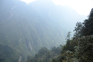 山间葱郁景致