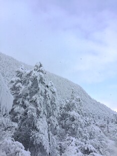 雪覆山林美景