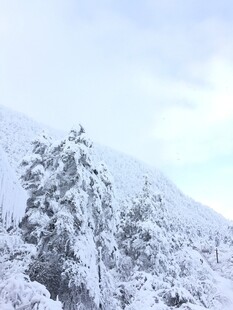 雪覆山林美景