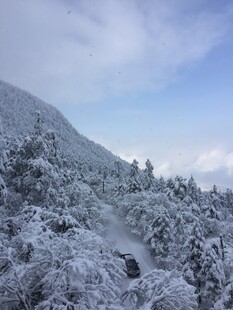 雪覆山林的冬日美景