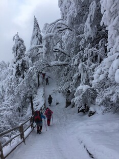 雪覆山林中的徒步者