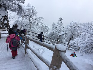 雪地徒步者沿木栏杆前行