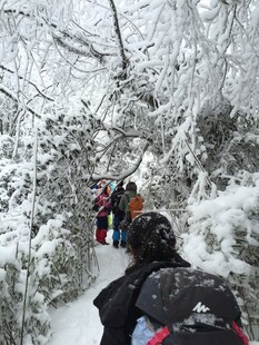 雪林徒步队伍
