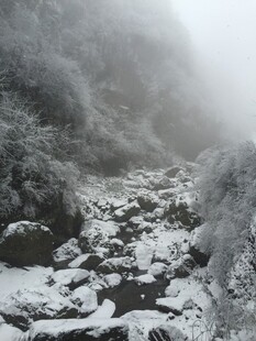 雪覆溪流 山间雾霭景致