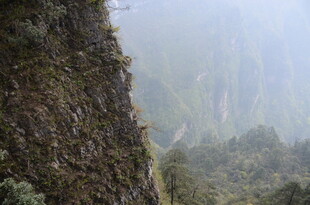 陡峭山壁边的朦胧山林