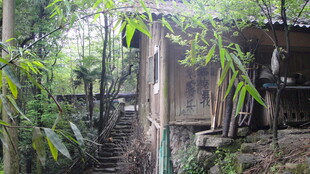 林间小屋 隐匿于绿意之中