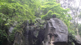 山林间的嶙峋巨石