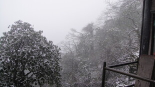 雪覆山林的窗前景致