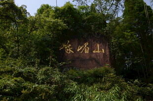 被绿植环绕的石碑