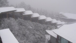 雪覆村落 雾中静谧景致