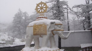 雪中大象雕塑