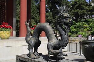 中式庭院中的青铜龙雕塑