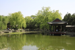 湖畔凉亭 静谧园林景致